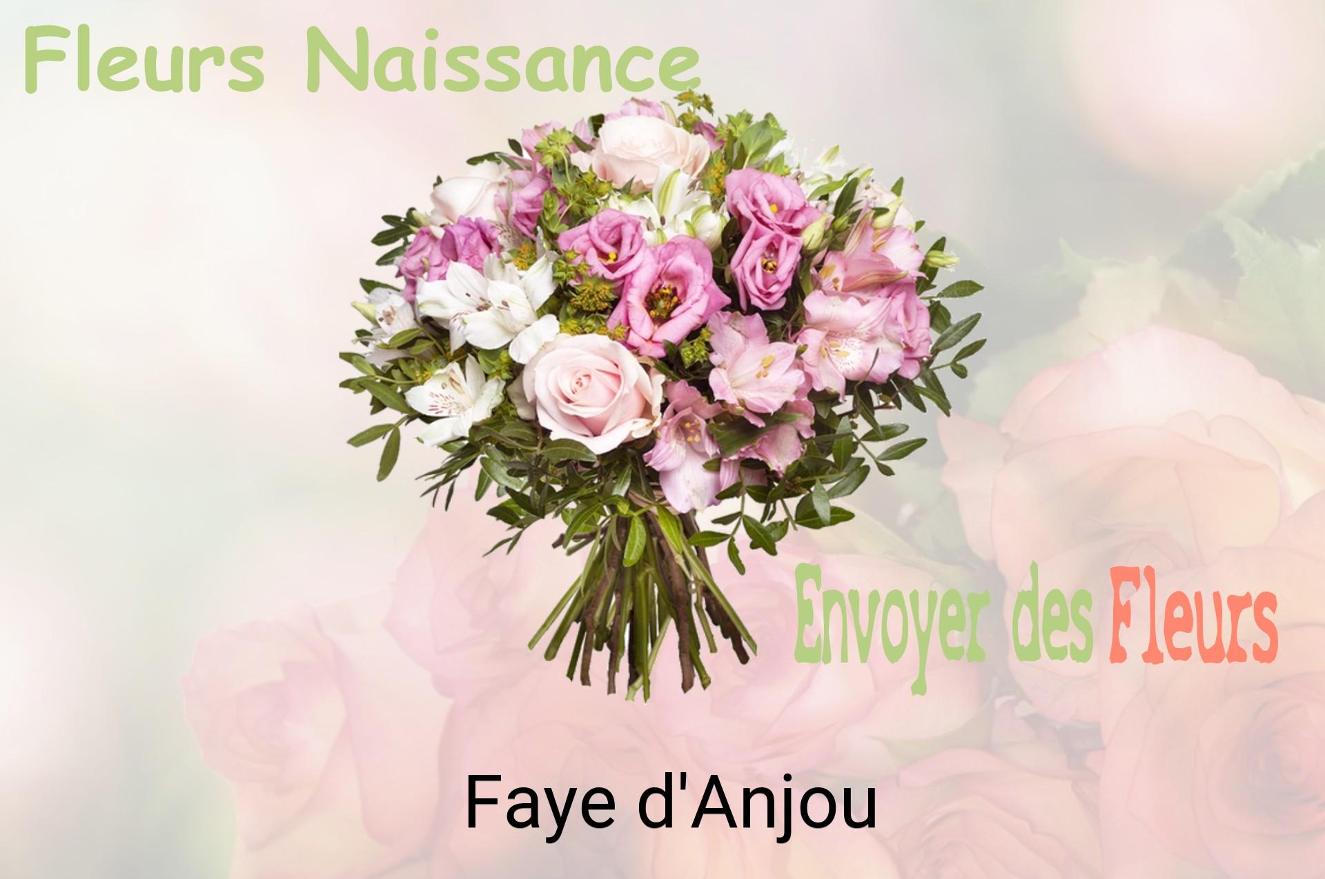 Bouquet de fleurs de naissance livré à Faye-d'Anjou